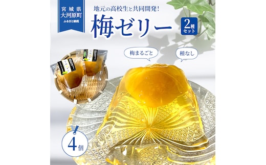 大河原の梅と清水のゼリー うめ果りり ４個入り お菓子 スイーツ 和スイーツ 梅の風味 梅ゼリー おやつ 食後 ひんやりスイーツ 涼 夏 さっぱり やさしい甘味 酸味 