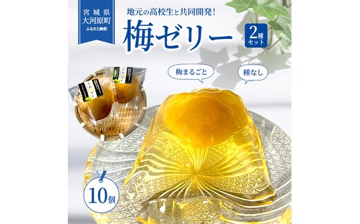 大河原の梅と清水のゼリー うめ果りり 10個入り 10,000円台おすすめ返礼品 お菓子 スイーツ 和スイーツ 梅の風味 梅ゼリー おやつ 食後 ひんやりスイーツ 涼 夏 さっぱり やさしい甘味 酸味 