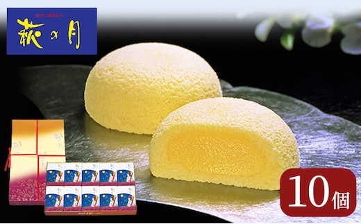 萩の月10個入り 仙台銘菓 定番 お土産 菓匠三全 和菓子