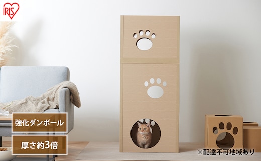 キャットタワー 低め 段ボール ねこねこタワー アイリスオーヤマ 3段 P-NT3 おしゃれ 段ボールハウス キャットハウス かわいい 猫 ネコ cat キャット キャットツリー ボックス ハニカム構造 
