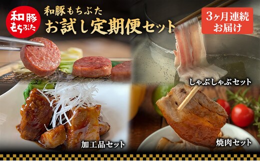 【定期便3回】和豚 もちぶた お試しセット 3ヶ月連続 こだわりのちょっと贅沢 ソーセージ 角煮 もち豚 豚肉 ポーク 肉 豚 ぶた ブタ 豚ロース 加工肉 レトルト レトルト食品 加工肉 アウトドア キャンプ バーベキュー