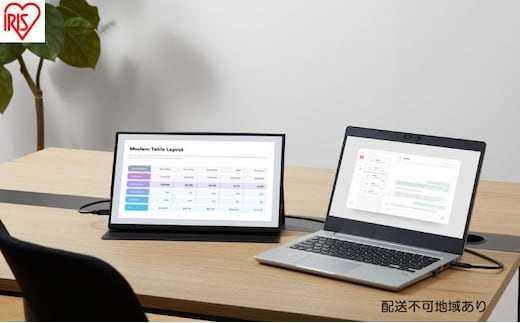 ポータブルモニター 15.6inch DP-EF164S-B ブラック アイリスオーヤマ モバイルモニター pcモニター 15.6インチ ゲーミングモニター USB-C minihdmi カバー付き 軽量 薄型 ノングレア