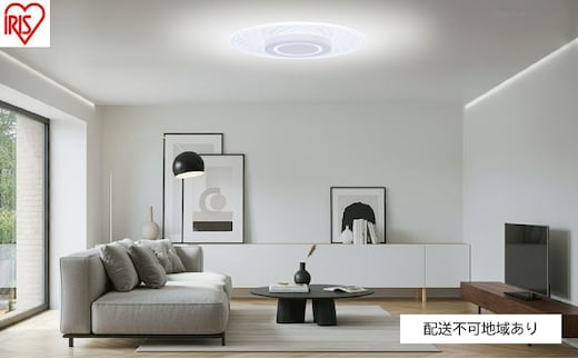 照明 LEDシーリングライト パネルライト 調光調色 8畳 CEA-A08DLP-N シーリングライト リモコン おしゃれ アイリスオーヤマ 電気 LED シーリング リビング 子供部屋 調光 調色 リモコン付 和室 台所 天井照明 シンプル 一人暮らし 新生活
