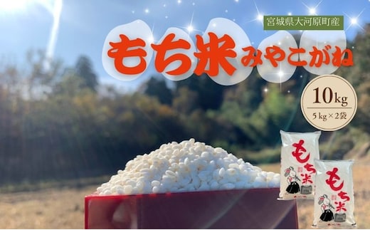 令和7年産 宮城県大河原町産 みやこがね 10kg ( 5kg × 2袋 ) もち米 餅米 こめ コメ モチ もち もち米 お餅 餅 令和7年 宮城県産