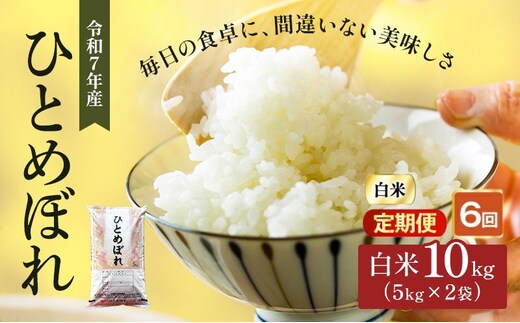ひとめぼれ 定期便6回/5kg×2 令和7年産 宮城県産 米 精米 白米