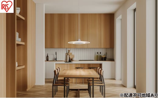 照明 LEDペンダントライト パネルライト 温白色 PLP6D-WW ホワイト アイリスオーヤマ ペンダントライト led 6畳 ダイニング リモコン付き 照明 おしゃれ 寝室 照明器具 吊り下げ シンプル ライト 明るい 取付 簡単 和室 新生活