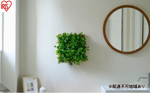 ＤＥＣＯ ＧＲＥＥＮ ウォールパネル WG-50M ナチュラルミックス 3個セット フェイクグリーン 壁掛け アイリスオーヤマ ウォールグリーン 25×25cm 正方形 インテリア おしゃれ 壁面緑化パネル 人工観葉植物