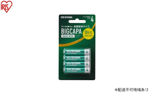 【4本×12パック】BIGCAPA basic plus アルカリ乾電池 単4形 4本パック LR03Bbp/4B 乾電池 単4 アルカリ 4本パック アイリスオーヤマ BIGCAPA basic＋単4形アルカリ乾電池4本パック アルカリ乾電池 アルカリ電池 乾電池4本パック 単4形 単四 単四形