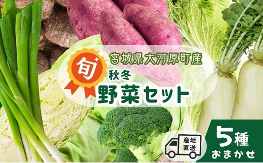 季節の野菜 おまかせ野菜セット 詰合せ 白菜 キャベツ ブロッコリー さつまいも 長ねぎ 大根 さといも 季節 旬 野菜 詰め合せ 国産 おまかせ 産地直送 秋野菜 冬野菜 葉物 冷蔵 野菜室
