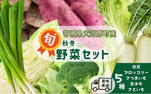 季節の野菜 野菜セットD 5種 白菜 ブロッコリー さつまいも 長ねぎ さといも 詰合せ 季節 旬 野菜 詰め合せ 国産 産地直送 秋野菜 冬野菜 葉物 冷蔵 野菜室