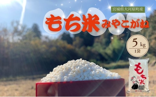 令和7年度産 宮城県大河原町産 みやこがね 5kg もち米 餅米 こめ コメ モチ もち もち米 お餅 餅