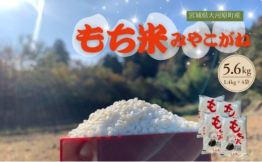令和7年度産 宮城県大河原町産 みやこがね 5.6kg(1.4kg×4) もち米 餅米 こめ コメ モチ もち もち米 お餅 餅