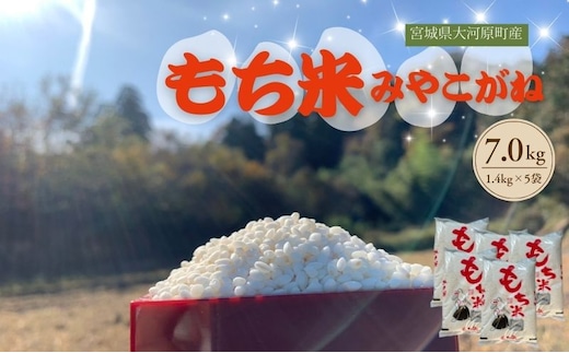 令和7年度産 宮城県大河原町産 みやこがね 7.0kg(1.4kg×5) もち米 餅米 こめ コメ モチ もち もち米 お餅 餅