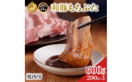 焼肉用 豚バラ 和豚 もちぶた 200g×3 豚肉