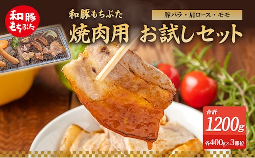 和豚もちぶた お試しセット 焼肉用 1200g 400g×3部位 3～4人世帯向け 豚バラ 肩ロース モモ