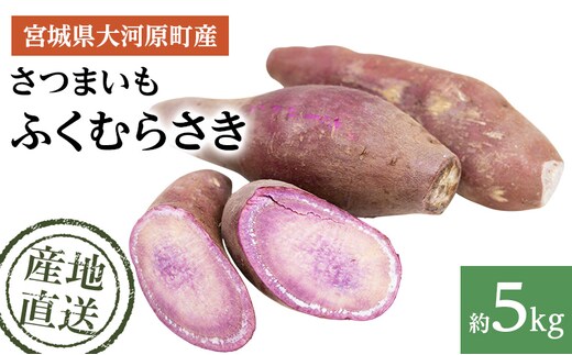 さつまいも 約5kg ふくむらさき サツマイモ 宮城県産 甘い 秋 冬 スイーツ いも 産地直送 宮城県 大河原町