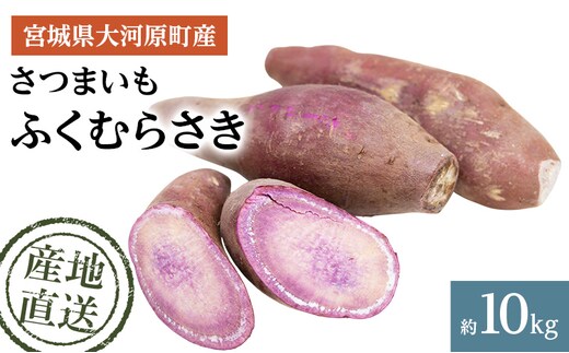 さつまいも 約10kg ふくむらさき サツマイモ 宮城県産 甘い 秋 冬 スイーツ いも 産地直送 宮城県 大河原町
