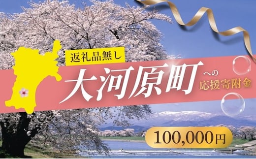 【返礼品なし応援寄附】宮城県大河原町（100,000円） 