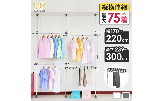 突っ張り棒 ハンガーラック 2段 幅170-220cm 伸縮 耐荷重100kg 高さ調節 天井突っ張り式 つっぱり棒 ロング ポールハンガー 強力 服 衣類 収納 部屋干し 室内物干し 物干し竿 洗濯物 一人暮らし 新生活 白 ホワイト SunRuck SR-TH03SL