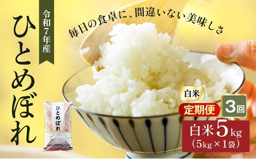 ひとめぼれ 定期便3回/5kg×1 令和7年産 宮城県産 米 精米 白米