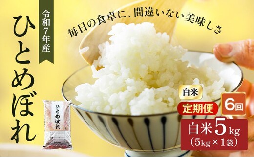 ひとめぼれ 定期便6回/5kg×1 令和7年産 宮城県産 米 精米 白米