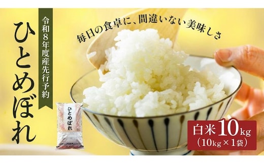 令和8年産 新米 ひとめぼれ 10kg 先行予約 米 お米 白米 精米 こめ コメ 令和8年 宮城県産