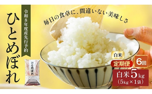 令和8年産 新米 ひとめぼれ 5kg 6ヵ月 定期便 先行予約 米 お米 白米 精米 こめ コメ 令和8年 宮城県産