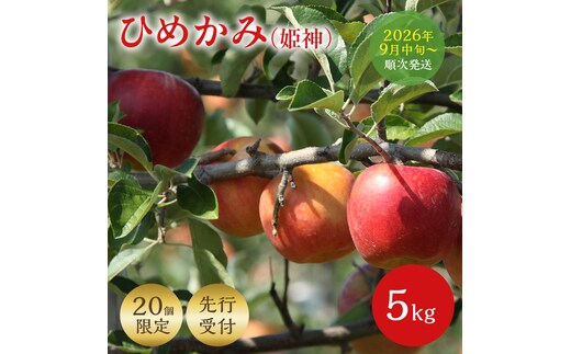 ＜先行予約＞ 早期発送 りんご ひめかみ 5kg 早生 旬 果物 フルーツ リンゴ 林檎 アップル くだもの 宮城県 大河原町 数量限定 送料無料