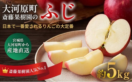 人気No.1 りんご ふじ 5kg 果物 フルーツ 先行予約 単品 定番 宮城県 大河原町 リンゴ 林檎 くだもの 大容量 送料無料