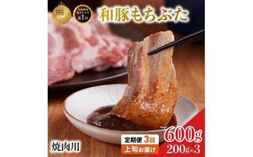毎月中旬お届け 3回 焼肉用 豚バラ 和豚 もちぶた 200g×3 (600g) 豚肉 ポーク 肉 豚 国産 宮城県産 小分け バラ肉 豚バラ肉 ストック 精肉