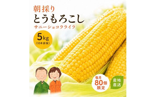 とうもろこし サニーショコラライラ 約5kg (10本前後) 冷蔵便 朝採り スイートコーン トウモロコシ 産直 産地直送