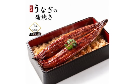 【国産うなぎ】ふっくら香ばしい 鰻の蒲焼き 1尾 容量200g 特製タレ付 うなぎ ウナギ 蒲焼 うな重 温めるだけ 湯せん ギフト 贈り物