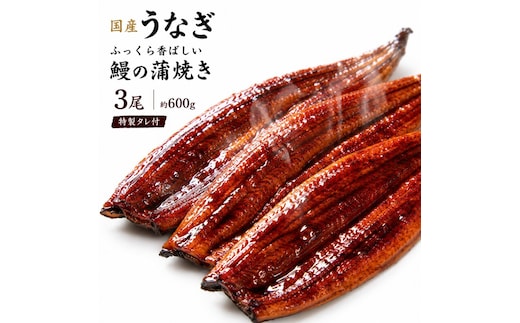 【国産うなぎ】ふっくら香ばしい 鰻の蒲焼き 3尾 容量600g 特製タレ付 うなぎ ウナギ 蒲焼 うな重 温めるだけ 湯せん ギフト 贈り物