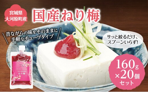 大河原産 昔ながらのねり梅 160g 20袋セット お弁当や和え物に ねり梅 練り梅 練梅 梅干し 梅干 うめぼし ウメボシ 梅 おにぎり 弁当 お弁当