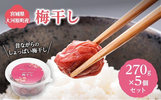 大河原産 昔ながらのすっぱいしそ梅干し 270g 5個セット ご飯のお供に 梅干し 梅干 うめぼし ウメボシ 梅 ごはんのお供 ご飯のお供 おにぎり 弁当 お弁当