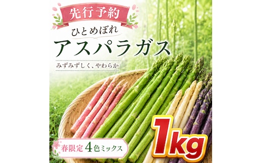 【先行予約】春限定 ひとめぼれアスパラガス 1kg 4色 食べ比べ グリーン パープル ピンク ホワイト 産地直送 農家直送 野菜 新鮮 旬 アスパラ 春野菜 サラダ カラフル バーベキュー BBQ おすそ分け ファミリー 大容量 ギフト 送料無料