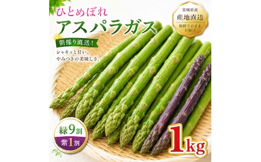 夏限定 ひとめぼれアスパラガス 1kg グリーン パープル ミックス 産地直送 農家直送 夏野菜 朝採れ 新鮮 旬 アスパラ シャキシャキ サラダ バーベキュー BBQ お弁当 肉巻き おすそ分け ファミリー 大容量 ギフト 送料無料