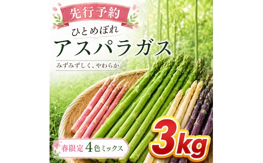 【先行予約】春限定 ひとめぼれアスパラガス 3kg 4色 食べ比べ グリーン パープル ピンク ホワイト 産地直送 農家直送 野菜 新鮮 旬 アスパラ 春野菜 サラダ カラフル バーベキュー BBQ おすそ分け ファミリー 大容量 ギフト 送料無料