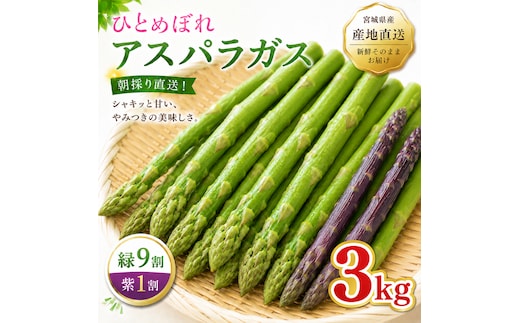 夏限定 ひとめぼれアスパラガス 3kg グリーン パープル ミックス 産地直送 農家直送 夏野菜 朝採れ 新鮮 旬 アスパラ シャキシャキ サラダ バーベキュー BBQ お弁当 肉巻き おすそ分け ファミリー 大容量 ギフト 送料無料