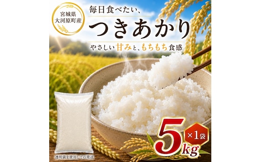 つきあかり 5kg 令和8年産 新米 ブランド米 白米 精米 【小分け】 宮城県大河原町産