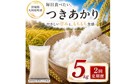 つきあかり 定期便 2回/5kg×1袋 令和8年産 新米 ブランド米 白米 精米 【小分け】 宮城県大河原町産