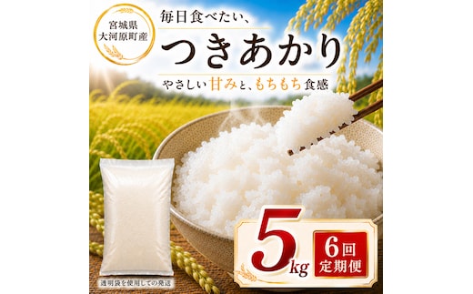 つきあかり 定期便 6回/5kg×1袋 令和8年産 新米 ブランド米 白米 精米 【小分け】 宮城県大河原町産