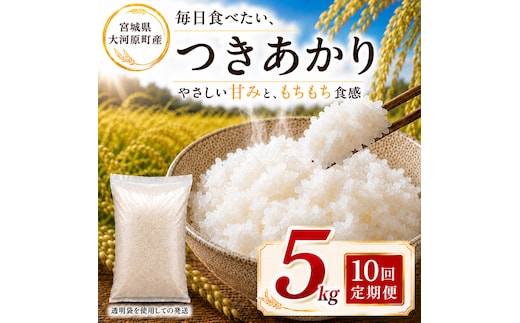 つきあかり 定期便 10回/5kg×1袋 令和8年産 新米 ブランド米 白米 精米 【小分け】 宮城県大河原町産