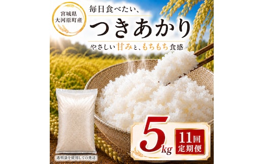 つきあかり 定期便 11回/5kg×1袋 令和8年産 新米 ブランド米 白米 精米 【小分け】 宮城県大河原町産