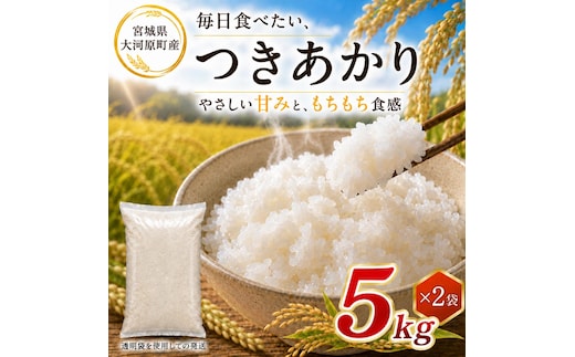 つきあかり 10kg（5kg×2袋） 令和8年産 新米 ブランド米 白米 精米 【小分け】 宮城県大河原町産