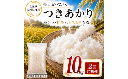 つきあかり 定期便 2回/10kg（5kg×2袋） 令和8年産 新米 ブランド米 白米 精米 【小分け】 宮城県大河原町産