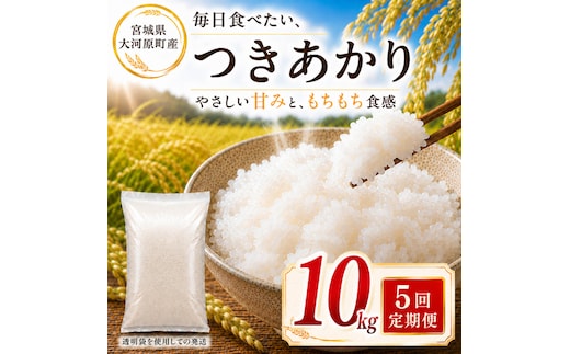 つきあかり 定期便 5回/10kg（5kg×2袋） 令和8年産 新米 ブランド米 白米 精米 【小分け】 宮城県大河原町産