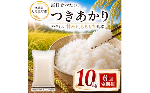 つきあかり 定期便 6回/10kg（5kg×2袋） 令和8年産 新米 ブランド米 白米 精米 【小分け】 宮城県大河原町産