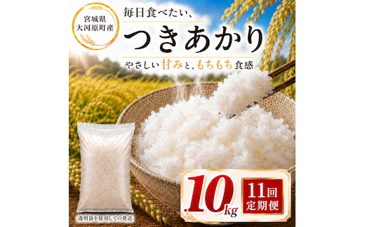 つきあかり 定期便 11回/10kg（5kg×2袋） 令和8年産 新米 ブランド米 白米 精米 【小分け】 宮城県大河原町産