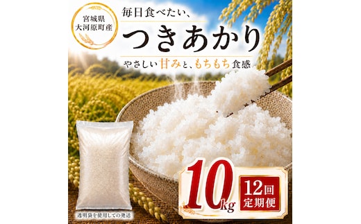 つきあかり 定期便 12回/10kg（5kg×2袋） 令和8年産 新米 ブランド米 白米 精米 【小分け】 宮城県大河原町産
